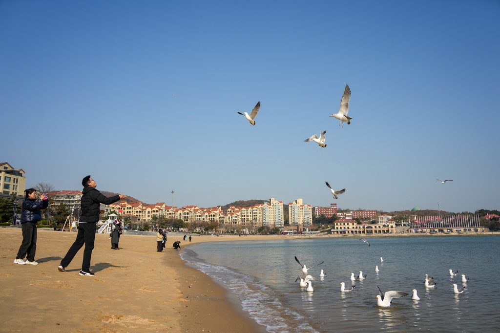 12月9日，人们在威海市海滨游览。