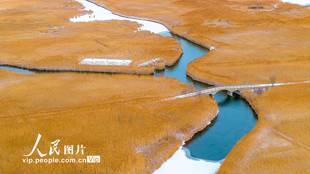 甘肅張掖：雪后濕地【2】