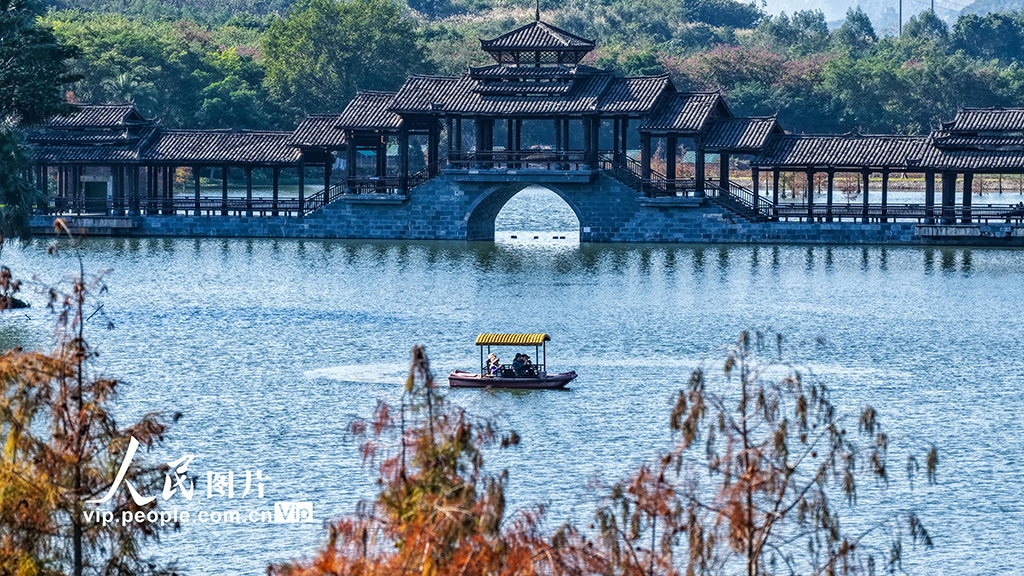 广西南宁:花花大世界景区冬景如画醉游人【5】