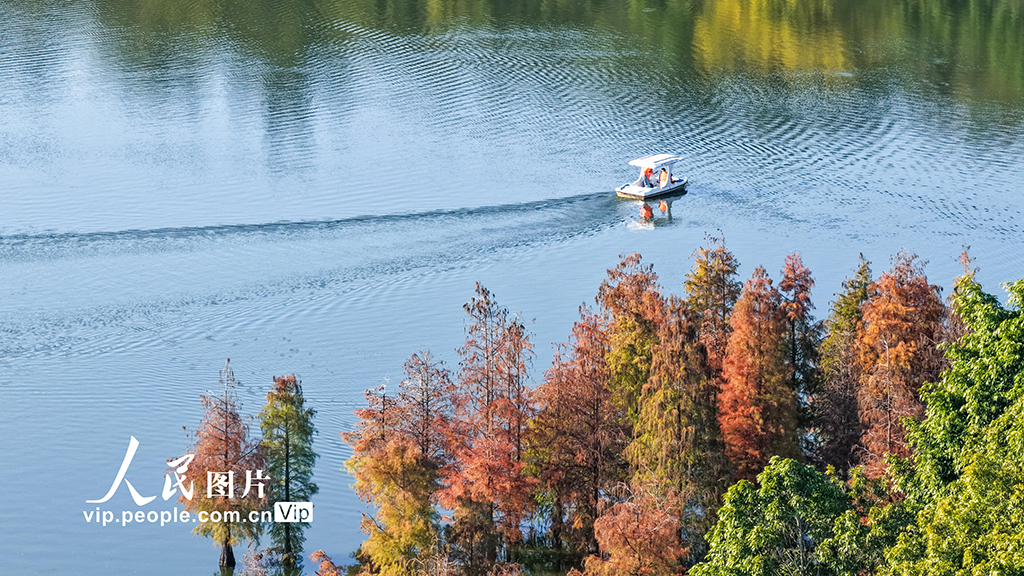 广西南宁：花花大世界景区冬景如画醉游人【7】
