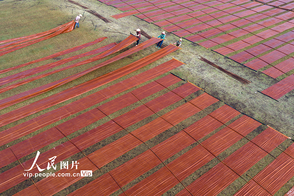 广西蒙山：晾晒香云纱【4】