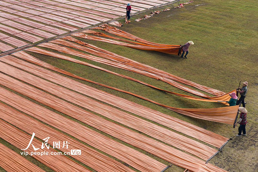 广西蒙山:晾晒香云纱【5】