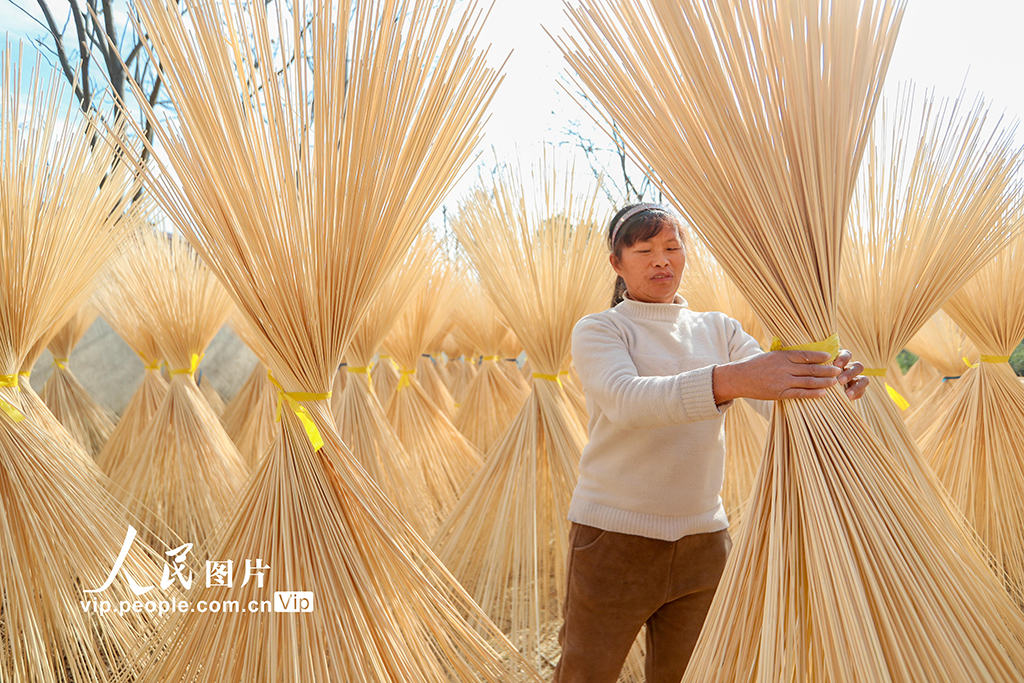 浙江長興：竹子加工助力鄉村振興【2】