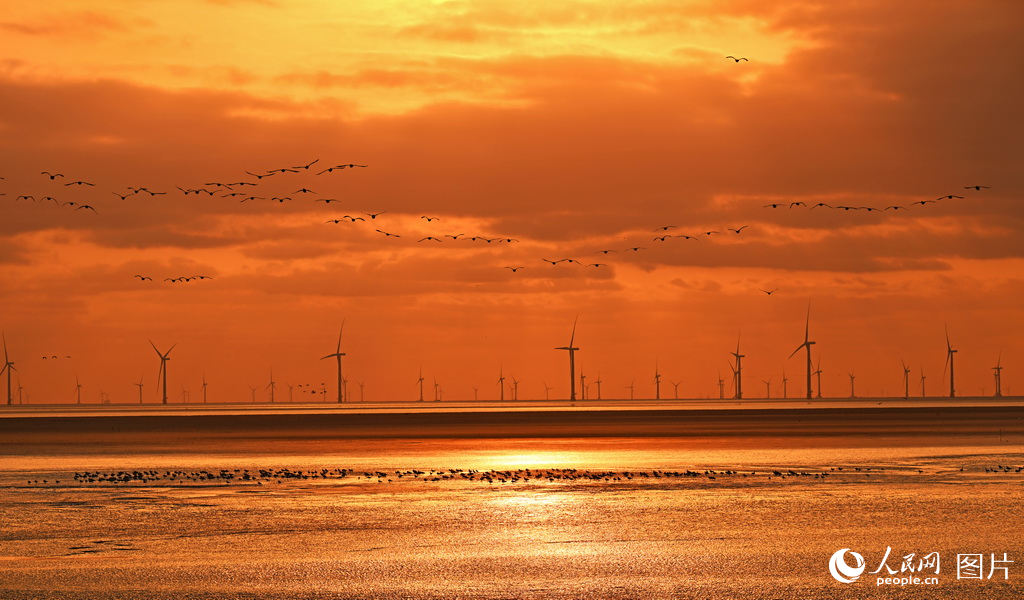 盐城市系统推进滨海湿地保护成效显著【9】