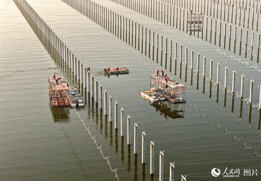 盐城市系统推进滨海湿地保护成效显著【5】