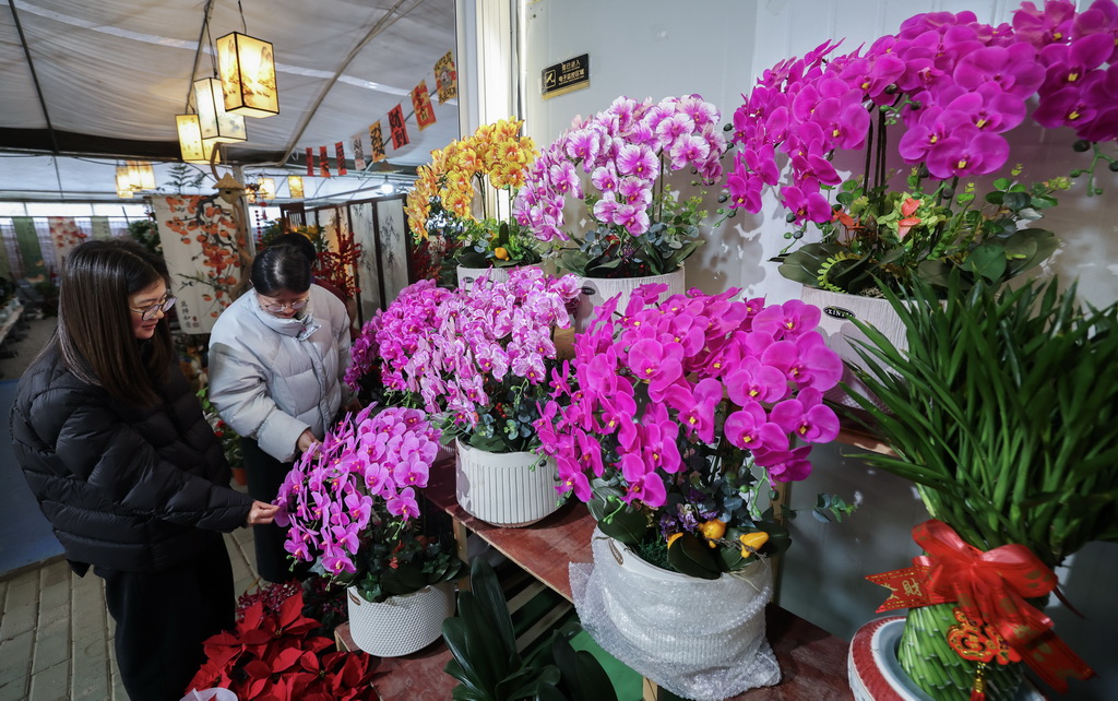 12月23日，顧客在紹興花市裡選購各類年宵花卉。