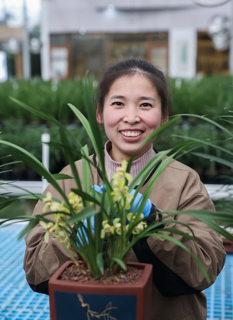 12月23日,在位於浙江省紹興市柯橋區漓渚鎮的國蘭家庭農場內,種植戶杜紅平展示一盆綻放的蘭花。