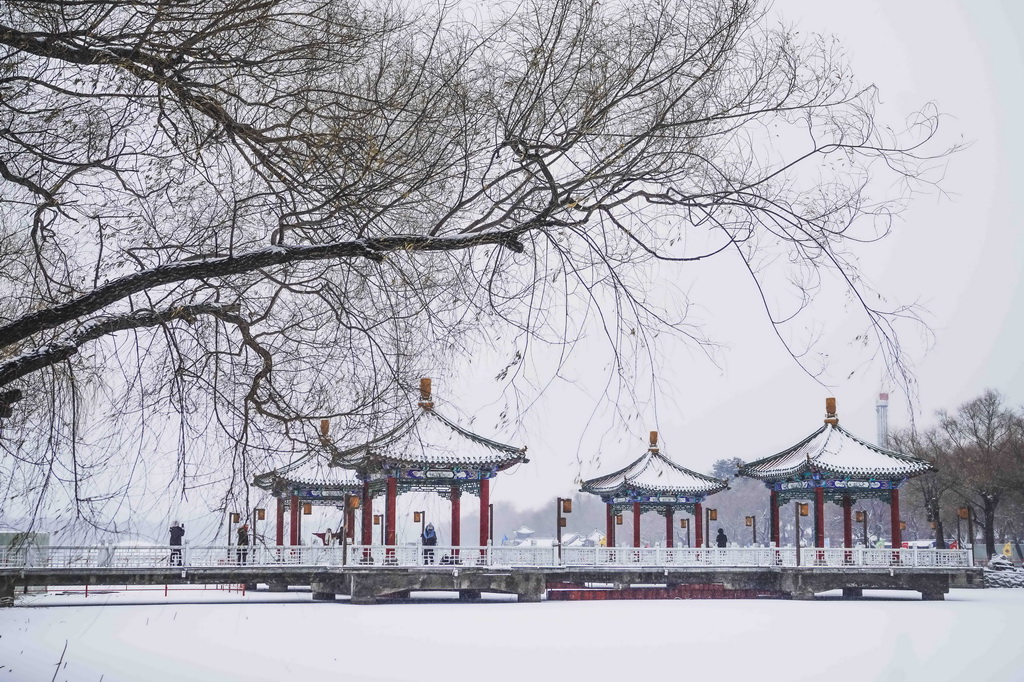 12月23日，市民在长春市南湖公园内观赏雪景。