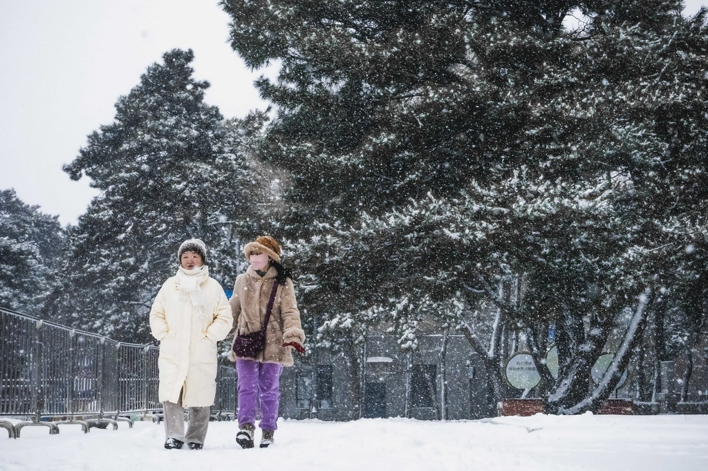 12月23日，長春市民冒雪出行。