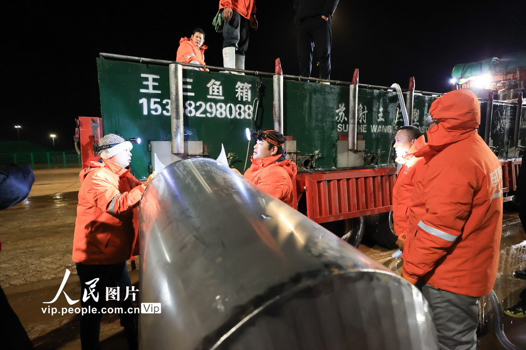 12月22日，工作人员正将首批40万尾三文鱼鱼苗转移至船上。这批鱼苗“游向深蓝”，标志着连云港三文鱼养殖正式迈向产业化运营，为我国深远海经济高质量发展注入新动能。