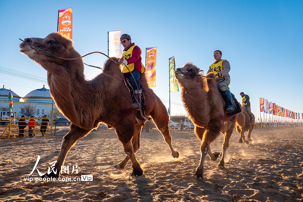 内蒙古：2025阿拉善骆驼超级联赛开幕【2】