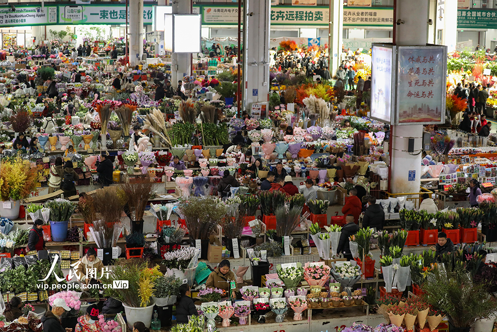 云南昆明：新年临近 鲜花俏销【4】
