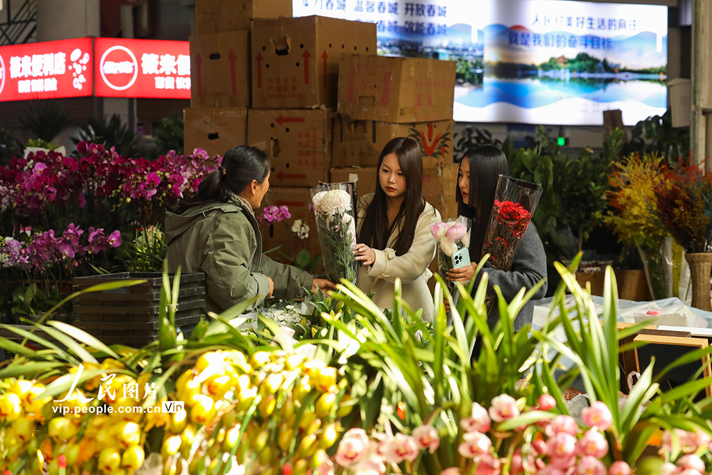 云南昆明：新年临近 鲜花俏销【6】