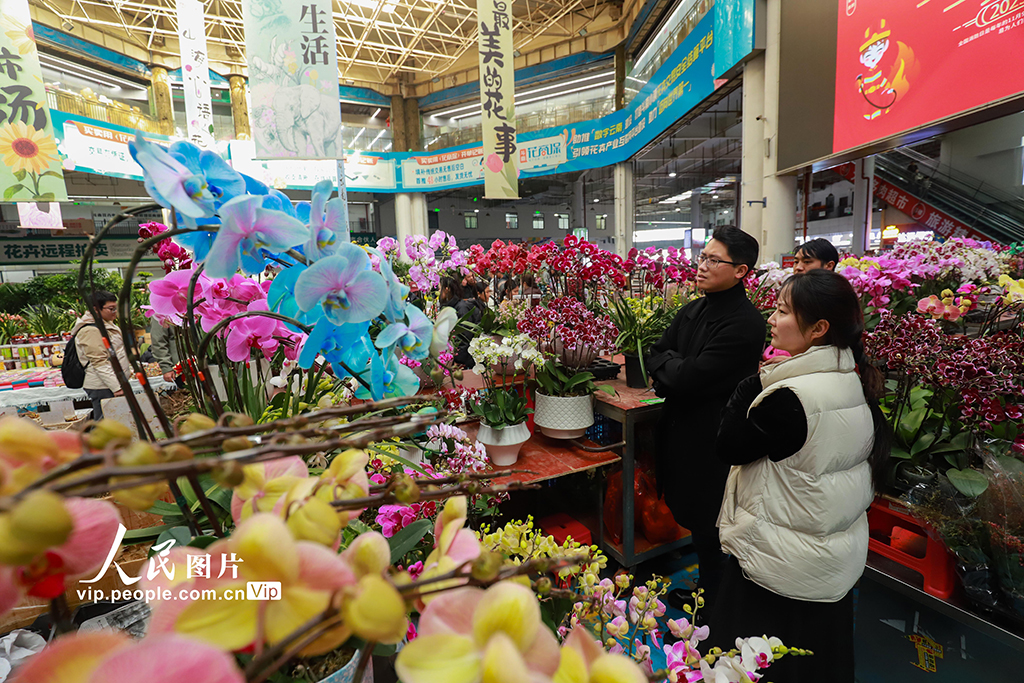 云南昆明：新年临近 鲜花俏销【8】