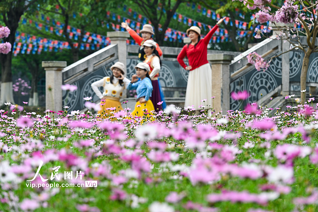 廣西南寧:冬日花開滿校園【4】
