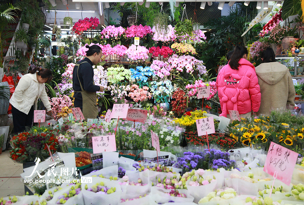 江蘇南京:購花卉 迎新年【5】