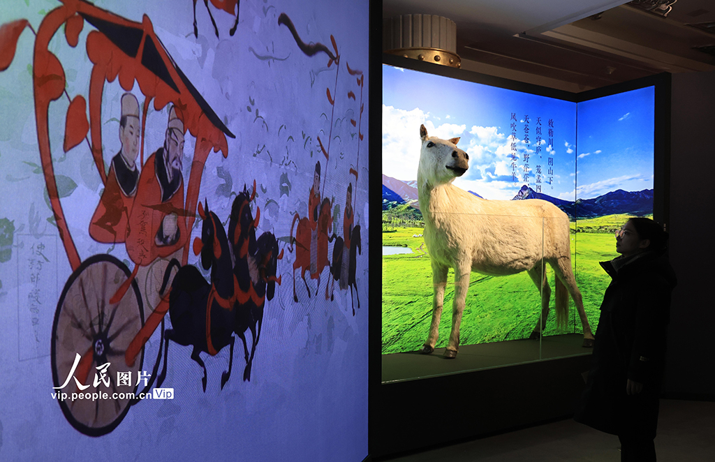 内蒙古呼和浩特：穿越千年的“马文化”盛宴【4】