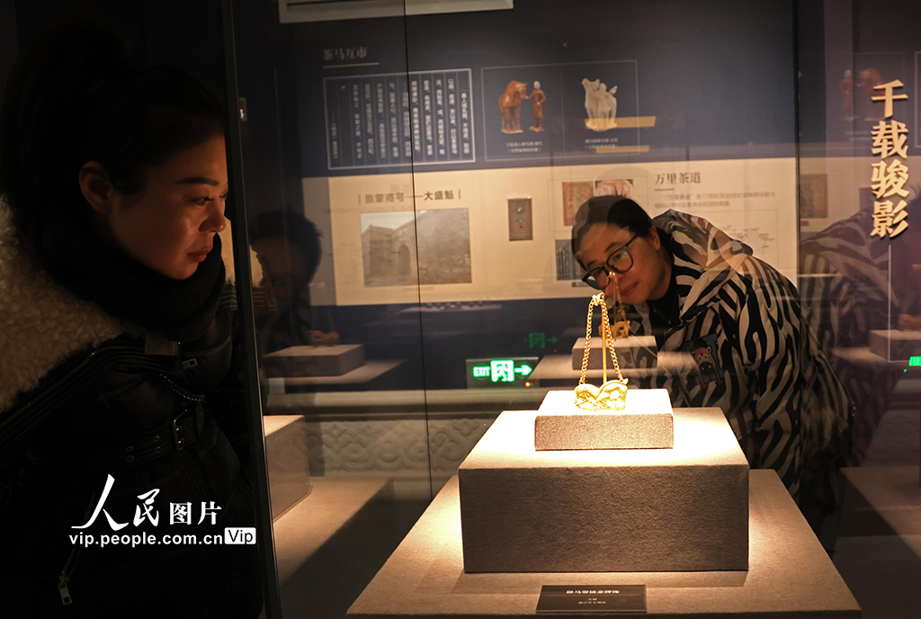 内蒙古呼和浩特：穿越千年的“马文化”盛宴【6】