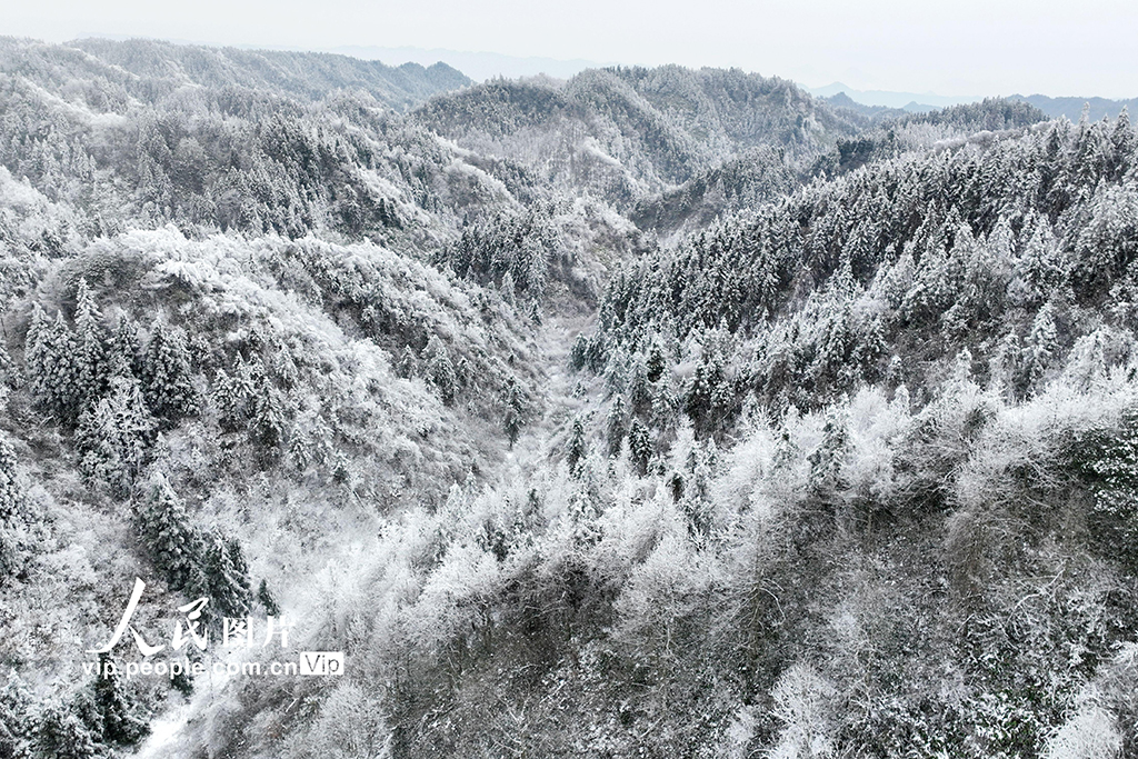 重慶：冰雪裹群山 霧凇繪冬韻【4】