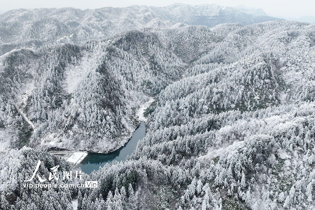 重慶：冰雪裹群山 霧凇繪冬韻【5】