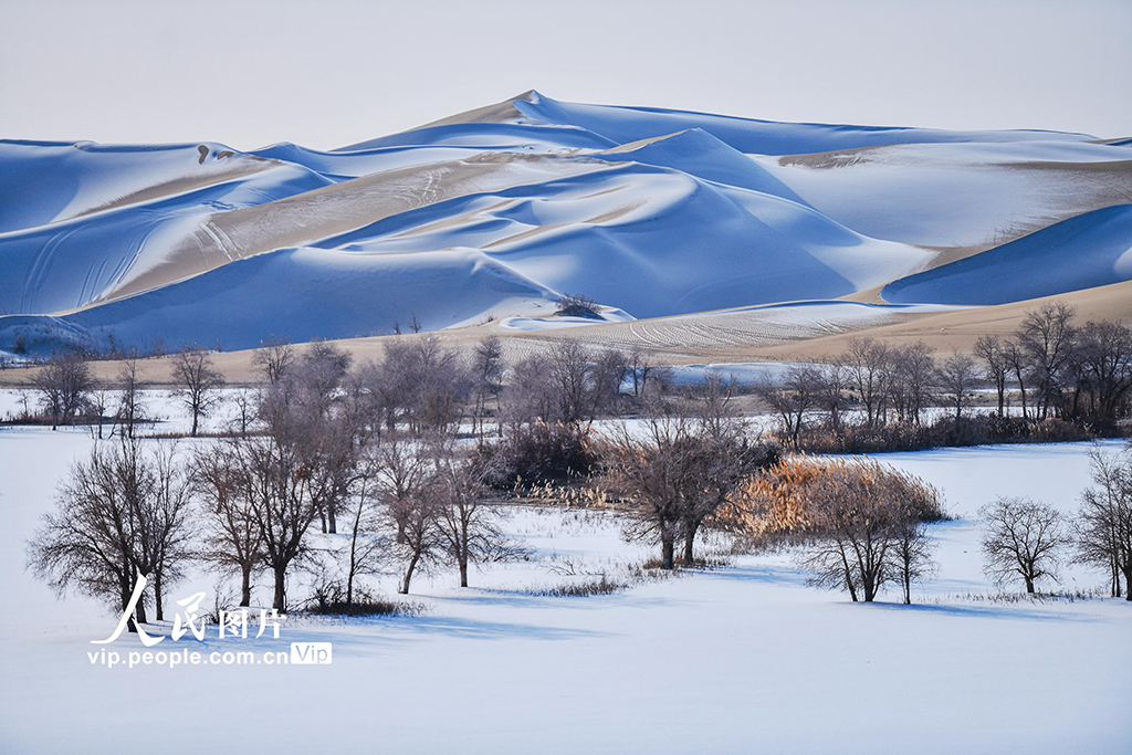 新疆尉犁：雪后大漠美如画【2】