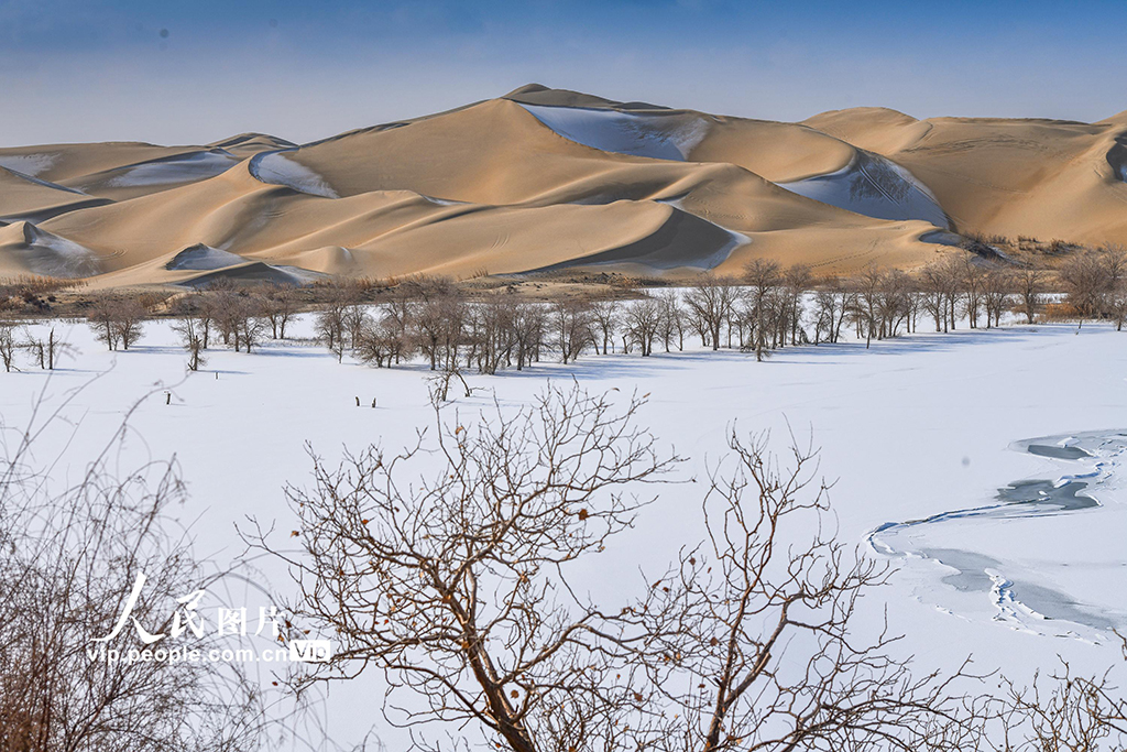 新疆尉犁：雪后大漠美如畫【4】