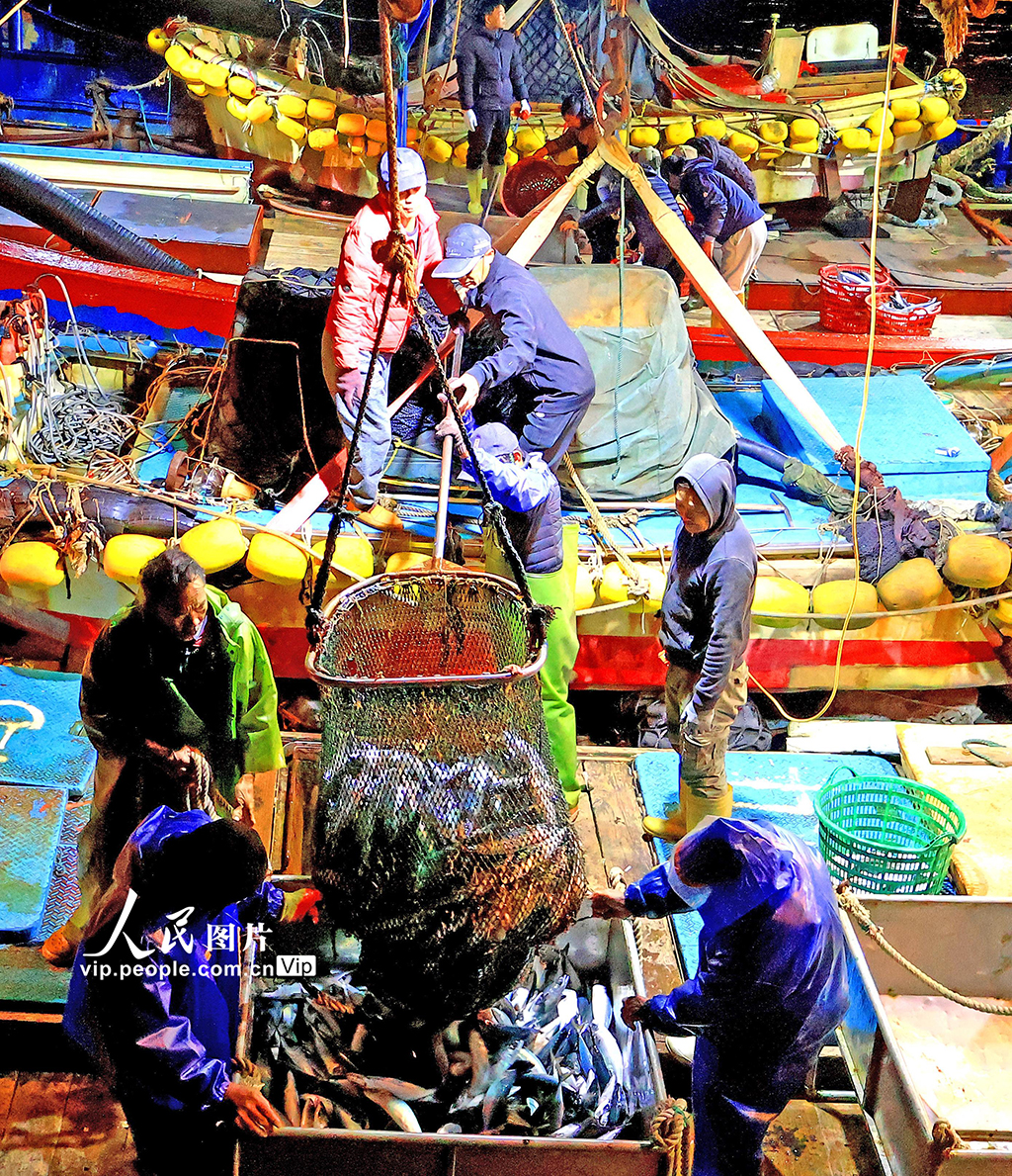 浙江玉環：漁獲豐收【3】