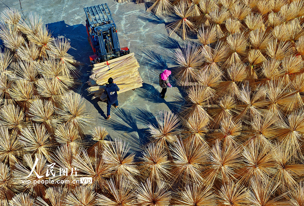 江西廣昌：竹產業助農增收【4】