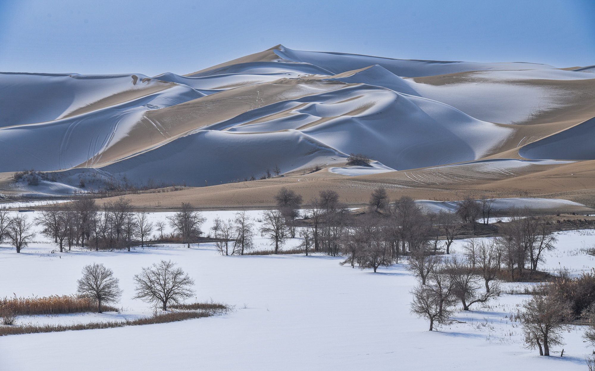 雪后大漠美如画