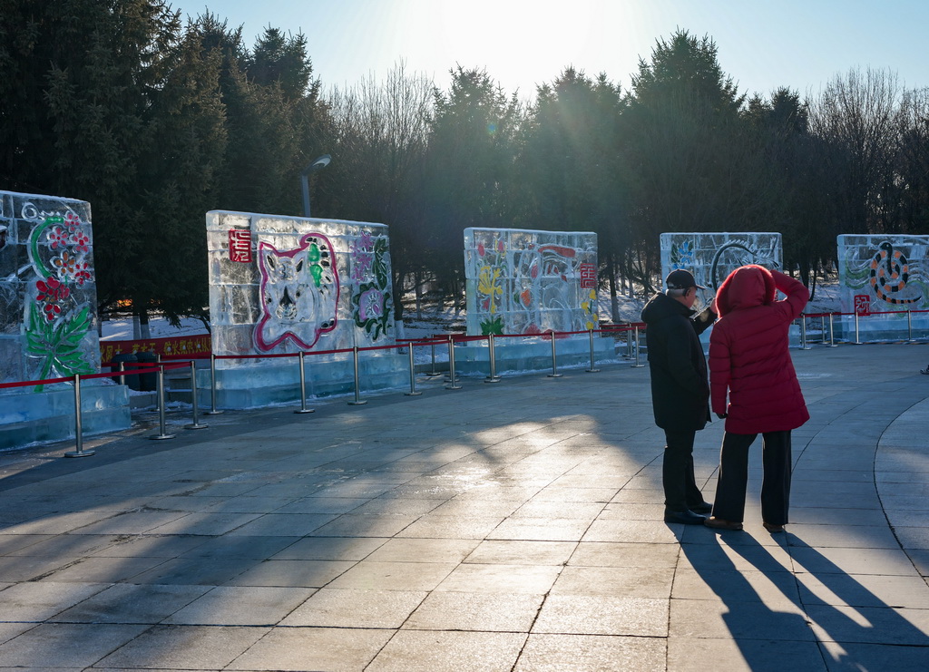 1月5日，游客在長春世界雕塑園觀賞特色冰雕畫。新華社記者 顏麟蘊 攝