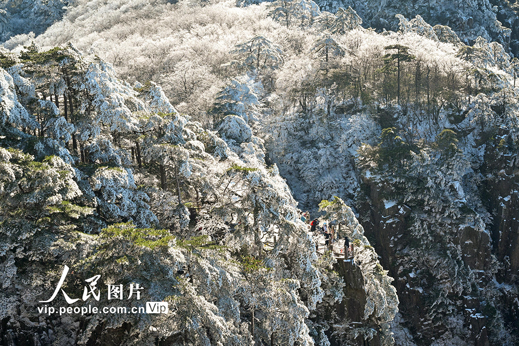 黄山 银装素裹【5】