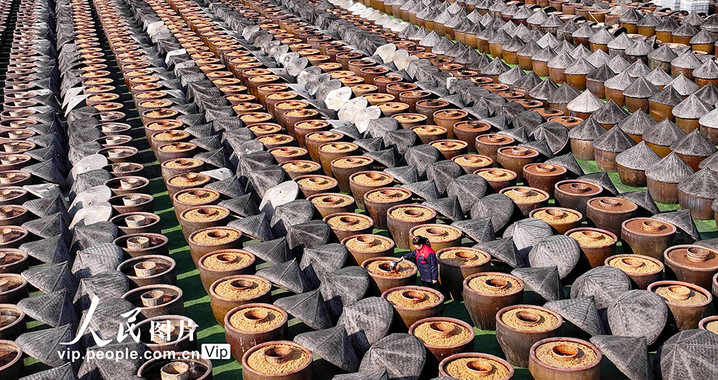 江蘇淮安：釀晒忙 醬飄香【6】