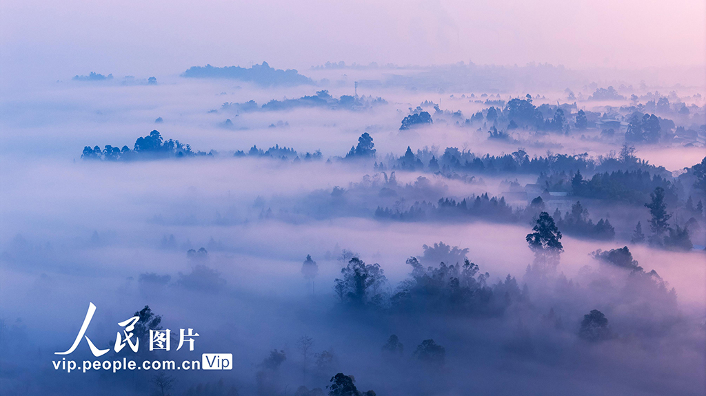四川廣安：美麗晨霧繞鄉村【3】