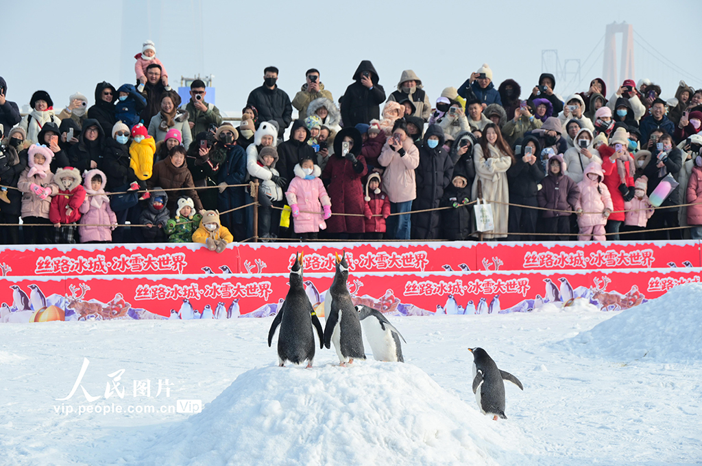 新疆昌吉:冰雪旅游热【6】