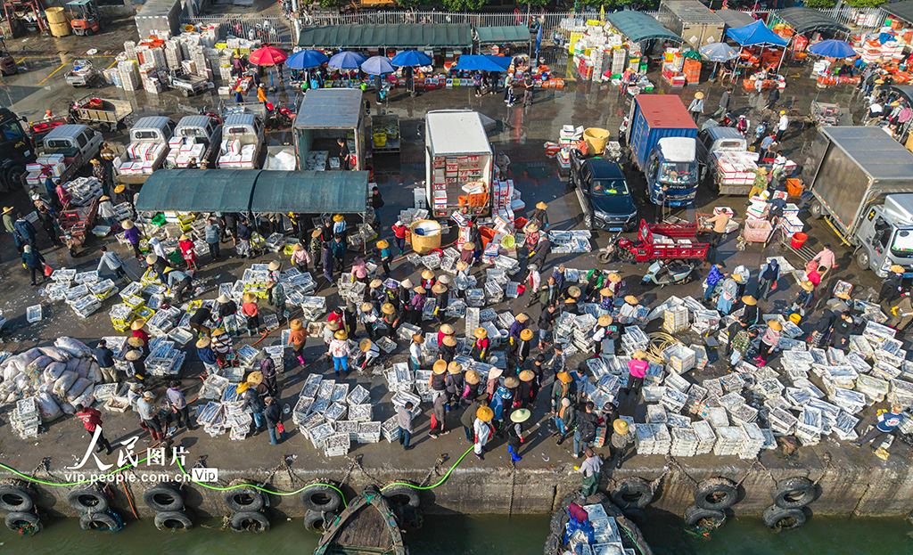 海南文昌：開年迎豐收 碼頭漁市旺【3】