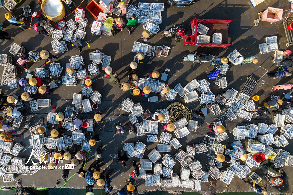 海南文昌：開年迎豐收 碼頭漁市旺【4】