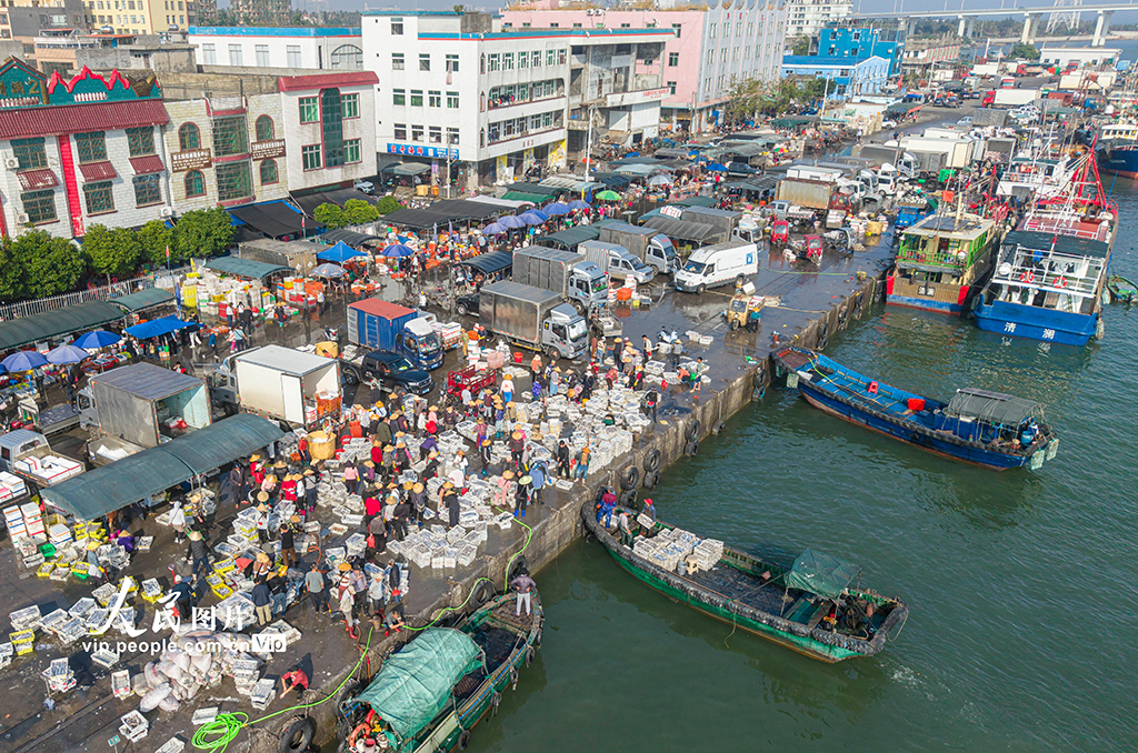 海南文昌：開年迎豐收 碼頭漁市旺【2】