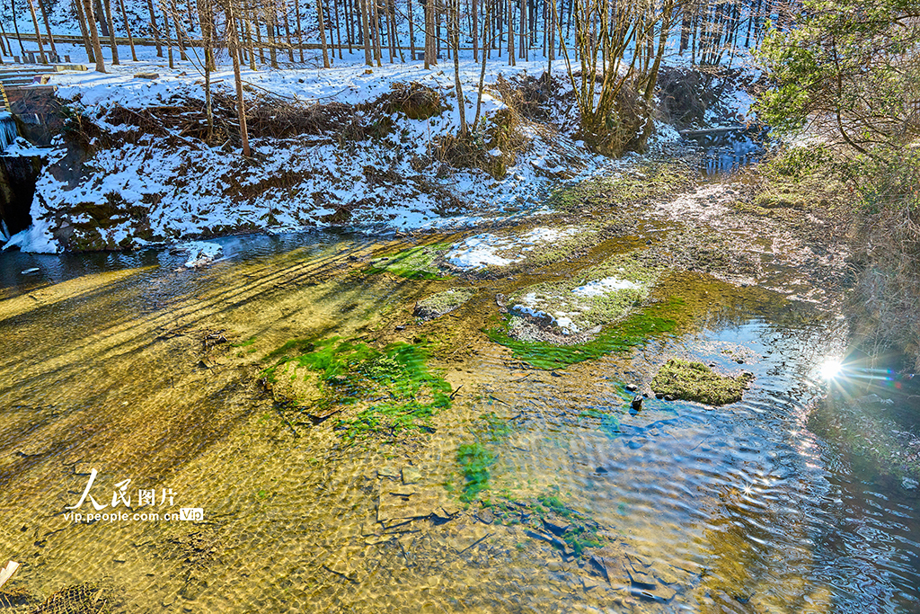 神農架第一站 神農天池的森林氧吧之旅【3】