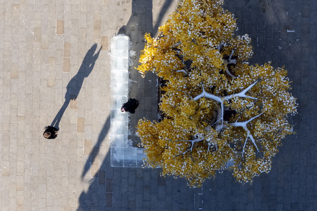 1月14日,游客在中華巴洛克歷史文化街區拍照(無人機照片)。新華社記者 張濤 攝