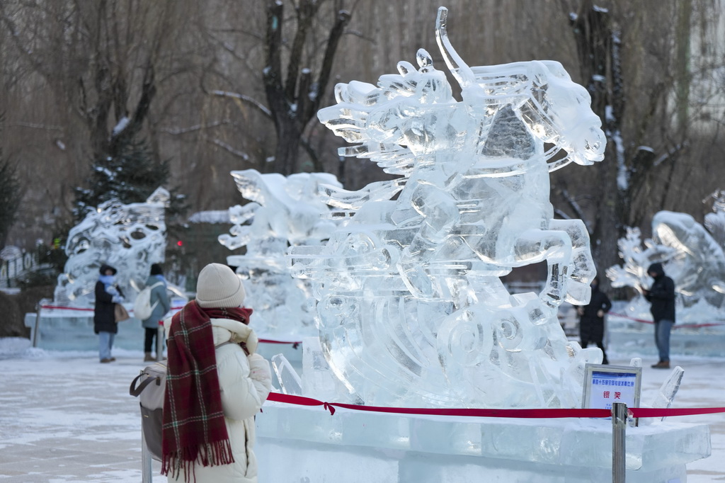  游客在哈爾濱市兆麟公園舉辦的第52屆哈爾濱冰燈藝術游園會上欣賞冰雕作品（1月14日攝）。