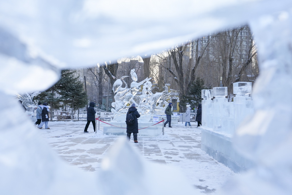人們在哈爾濱市兆麟公園舉辦的第52屆哈爾濱冰燈藝術游園會上參觀（1月14日攝）。