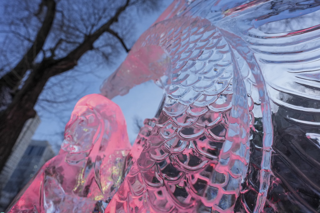 這是在哈爾濱市兆麟公園舉辦的第52屆哈爾濱冰燈藝術游園會上展出的冰雕作品（1月14日攝）。