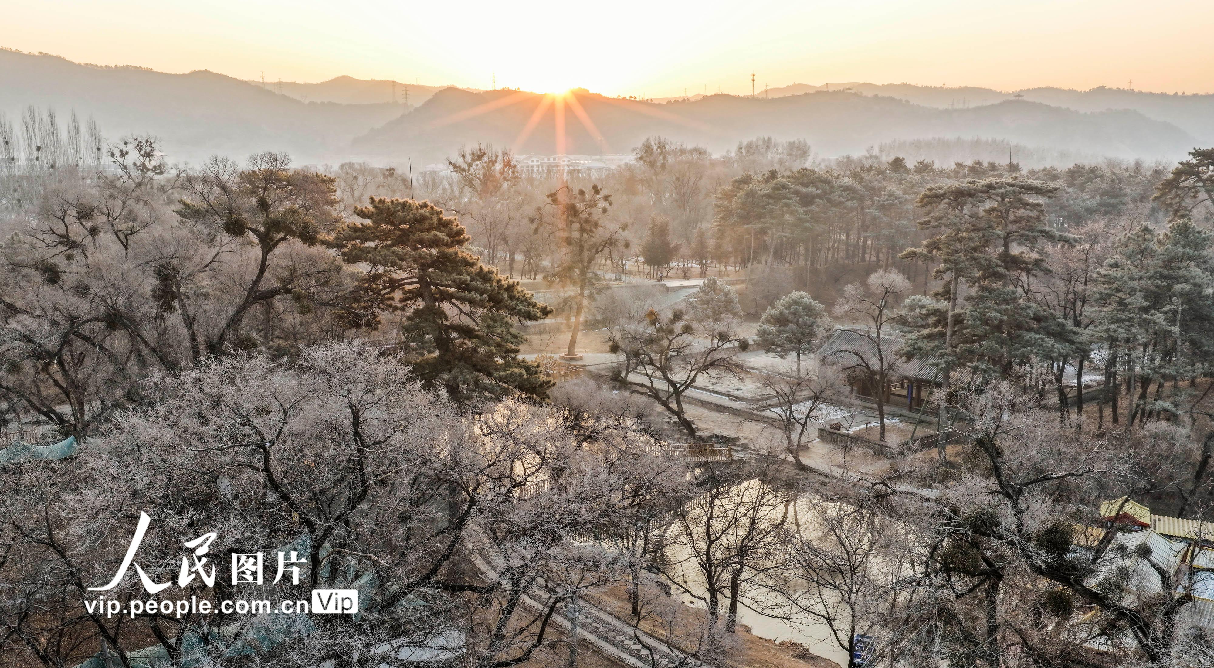 河北承德：避暑山庄现雾凇景观【2】
