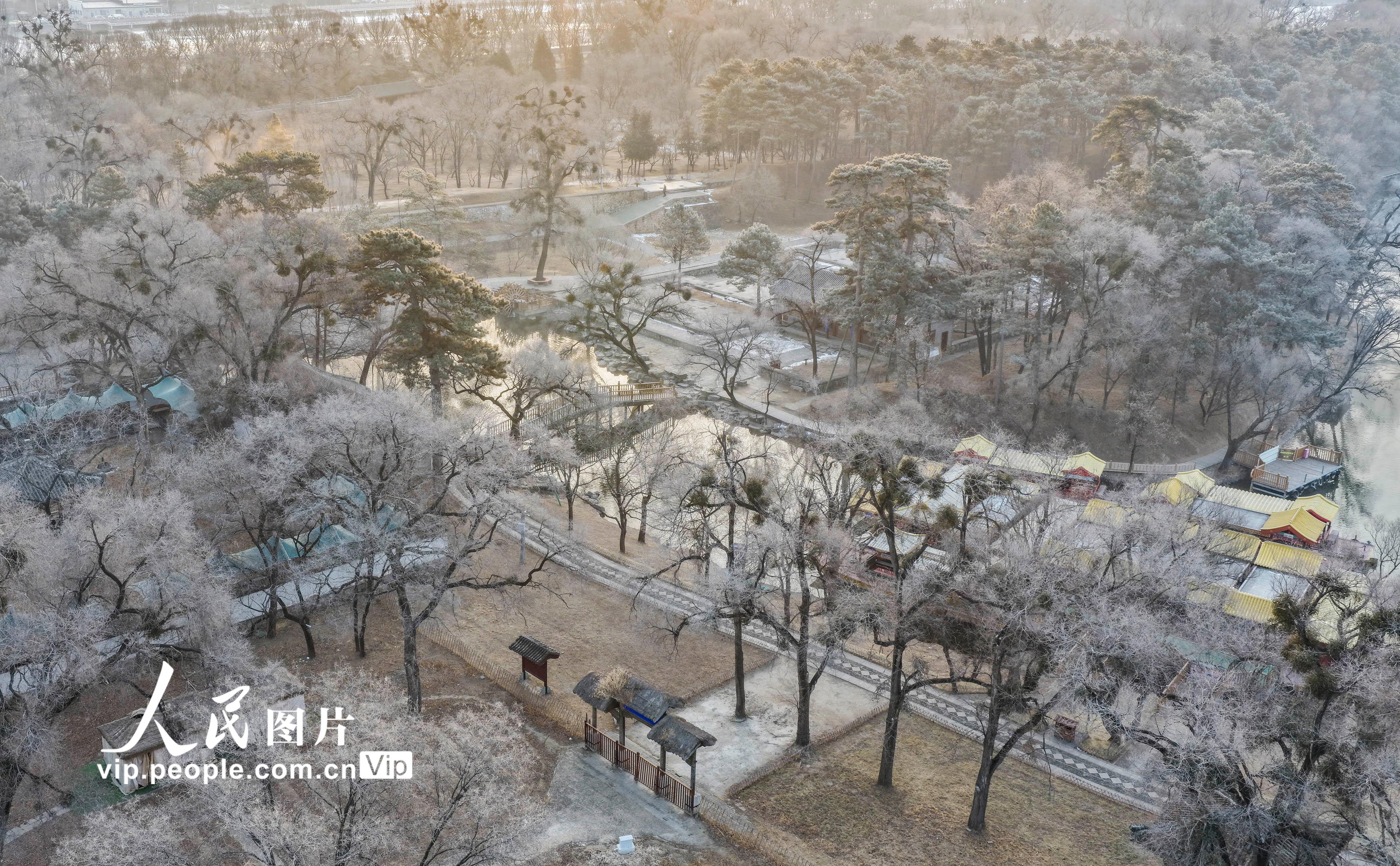 河北承德：避暑山庄现雾凇景观【3】