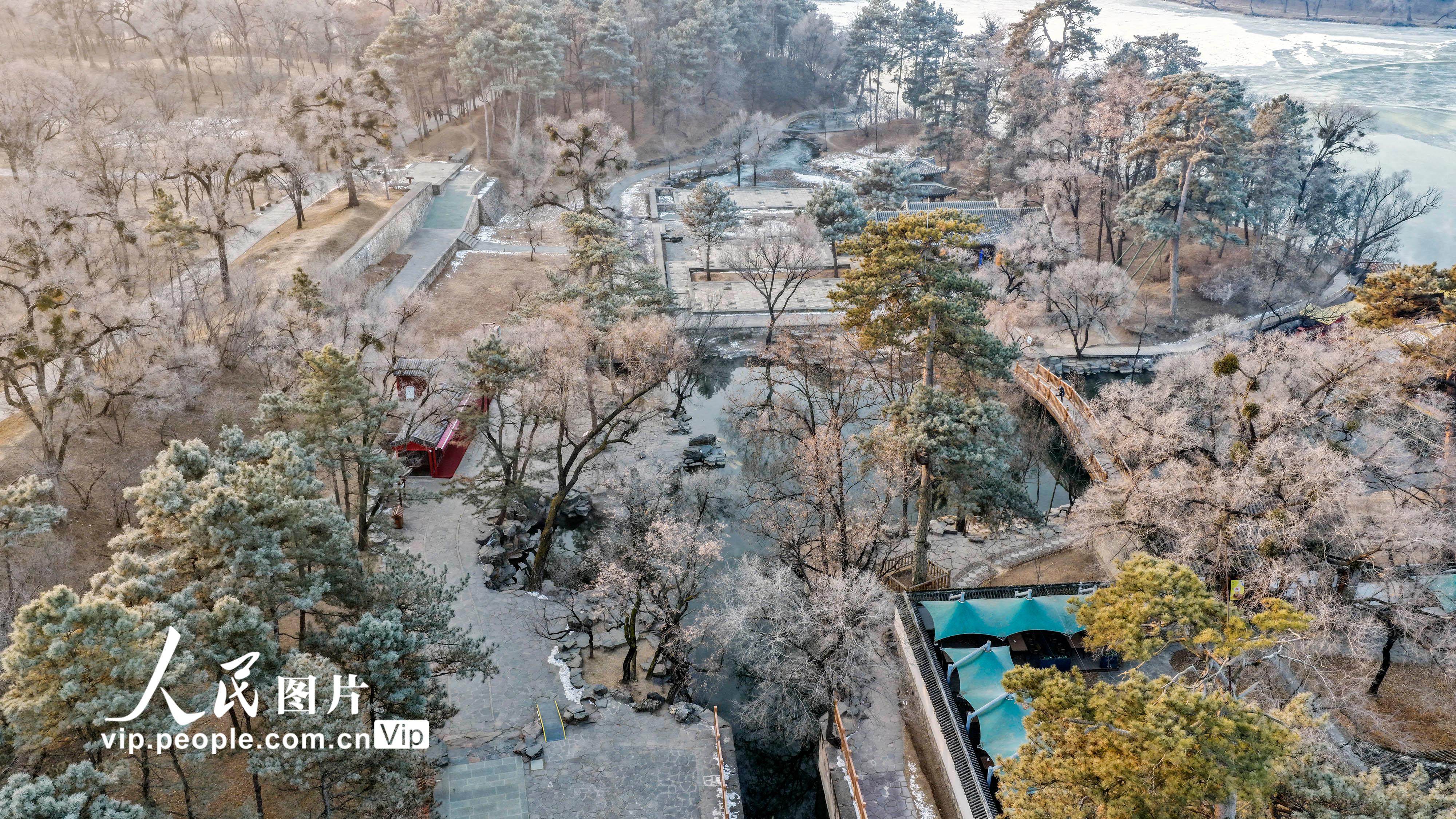 河北承德：避暑山庄现雾凇景观【4】