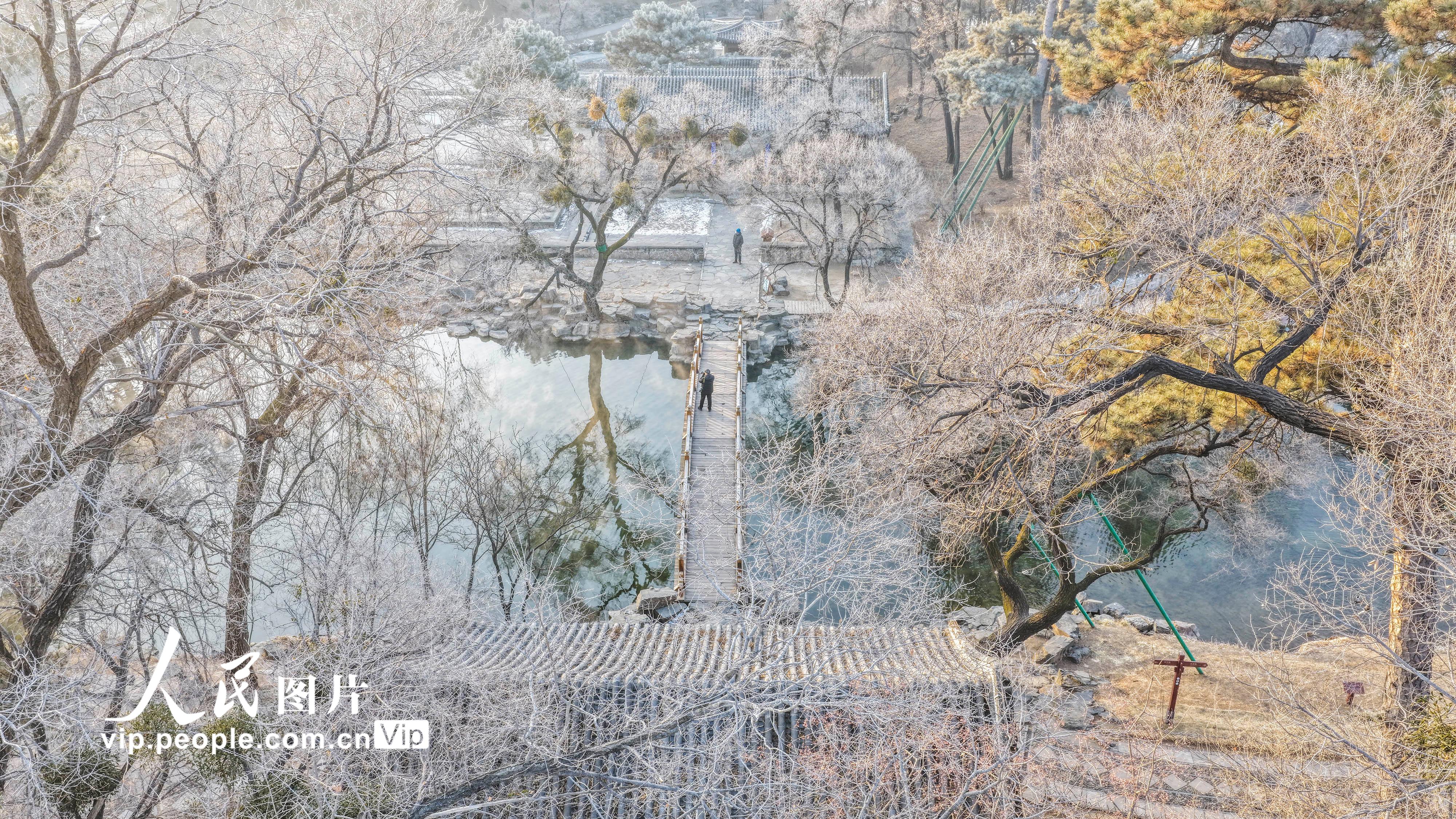 河北承德：避暑山庄现雾凇景观【6】