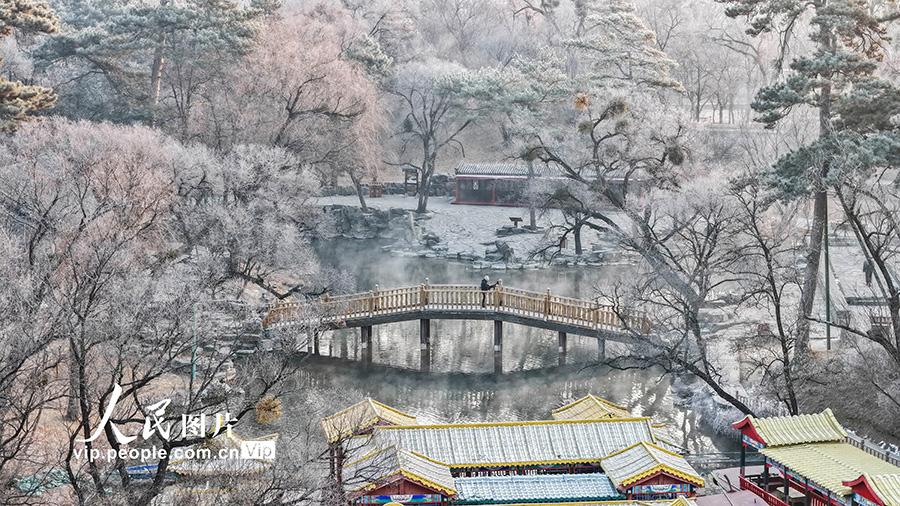 河北承德：避暑山庄现雾凇景观【5】