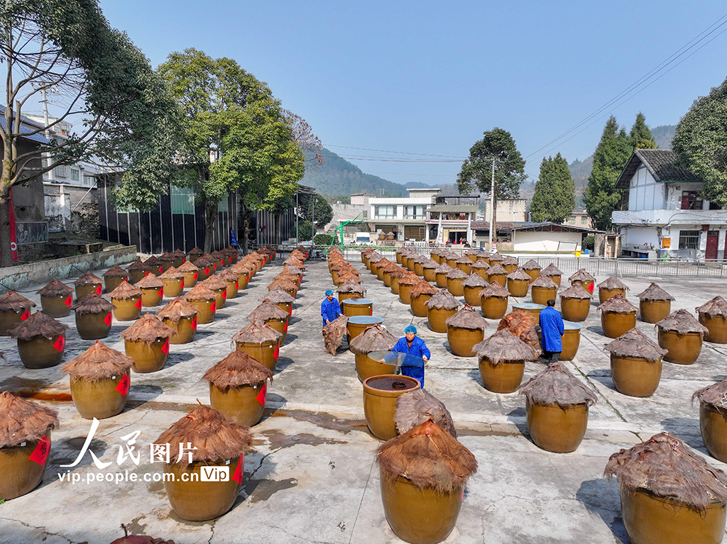 貴州開陽:古法醬油釀造忙【5】