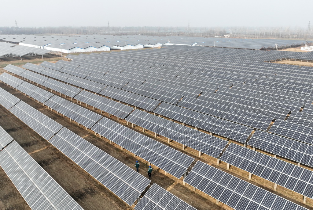 1月16日,国网巨鹿县供电公司的工人在辖区阎疃镇附近的“农光互补”光伏发电场巡检并网线路(无人机照片)。