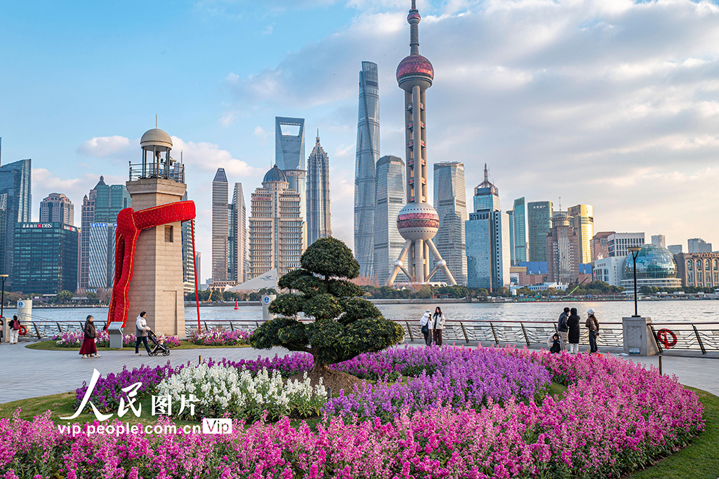 上海：北外灘紫羅蘭競相綻放【3】